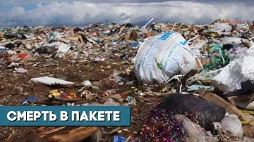 Прощай, пластик: в борьбе все средства хороши!