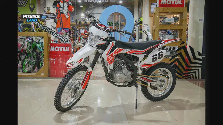 Мотоцикл кроссовый BSE Z5-250e 21/18 (172 FMM)